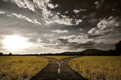 Isabelle Paradis - Hot Telecom: The international wholesale crossroad