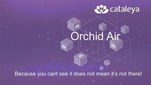 Orchid Air: Virtualization in communication and IT