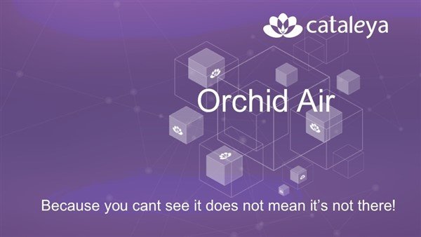 Orchid Air: Virtualization in communication and IT